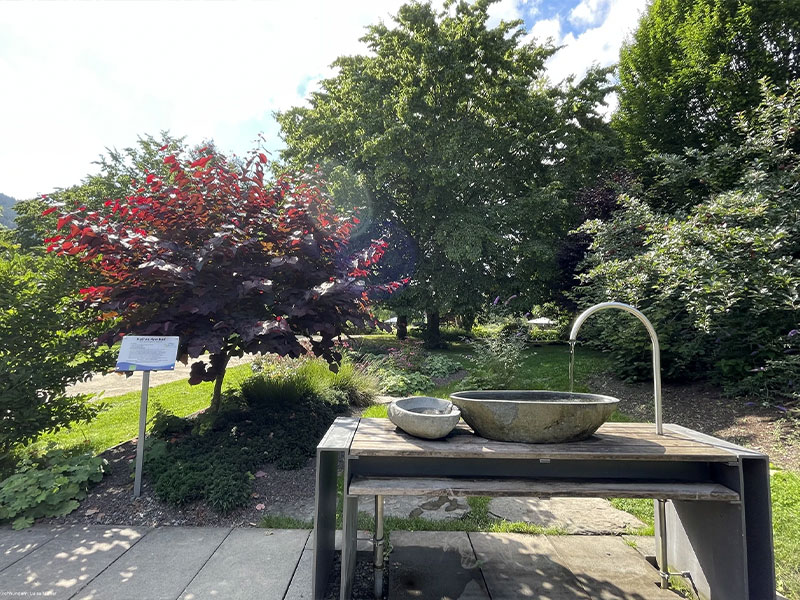 Wasserwelten im Kurpark in Saalhausen